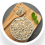 Pearl Millet
