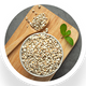 Pearl Millet