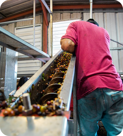Traditional Processing