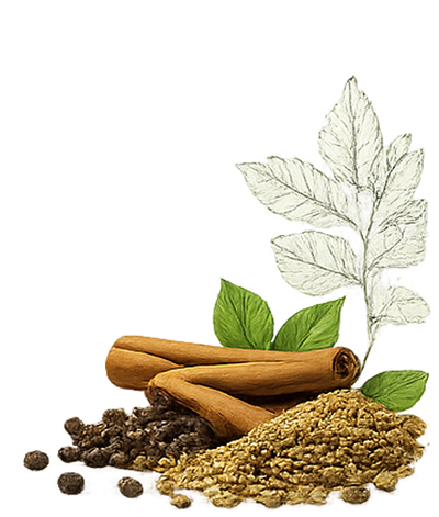 Sabut Masala & Spice Powders
