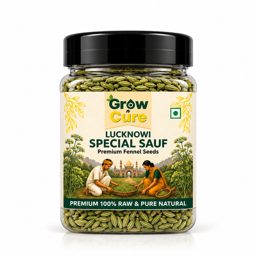 Grow n Cure Premium 100% Raw & Pure Natural Lucknowi Special Saunf Fennel Seeds Jar