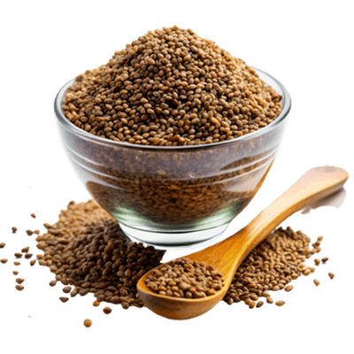 Seeds